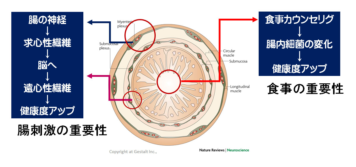 食事と刺激の重要性