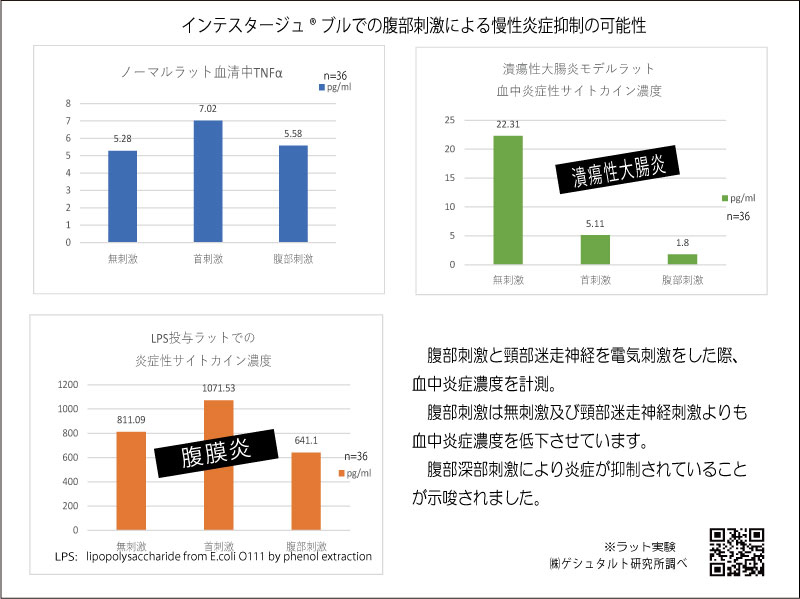 ラット実験の説明